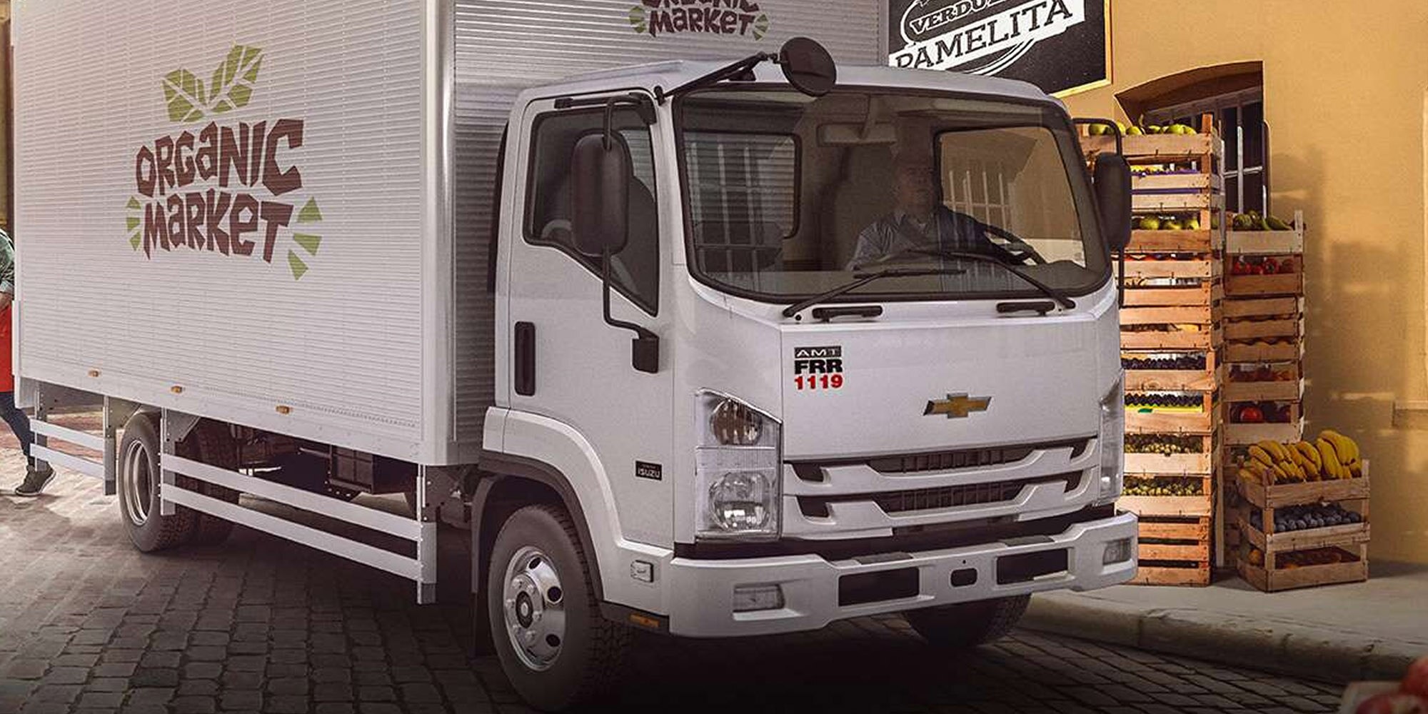 Camion frr 1119 amt parachoque